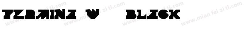 Termina W05 Black字体转换